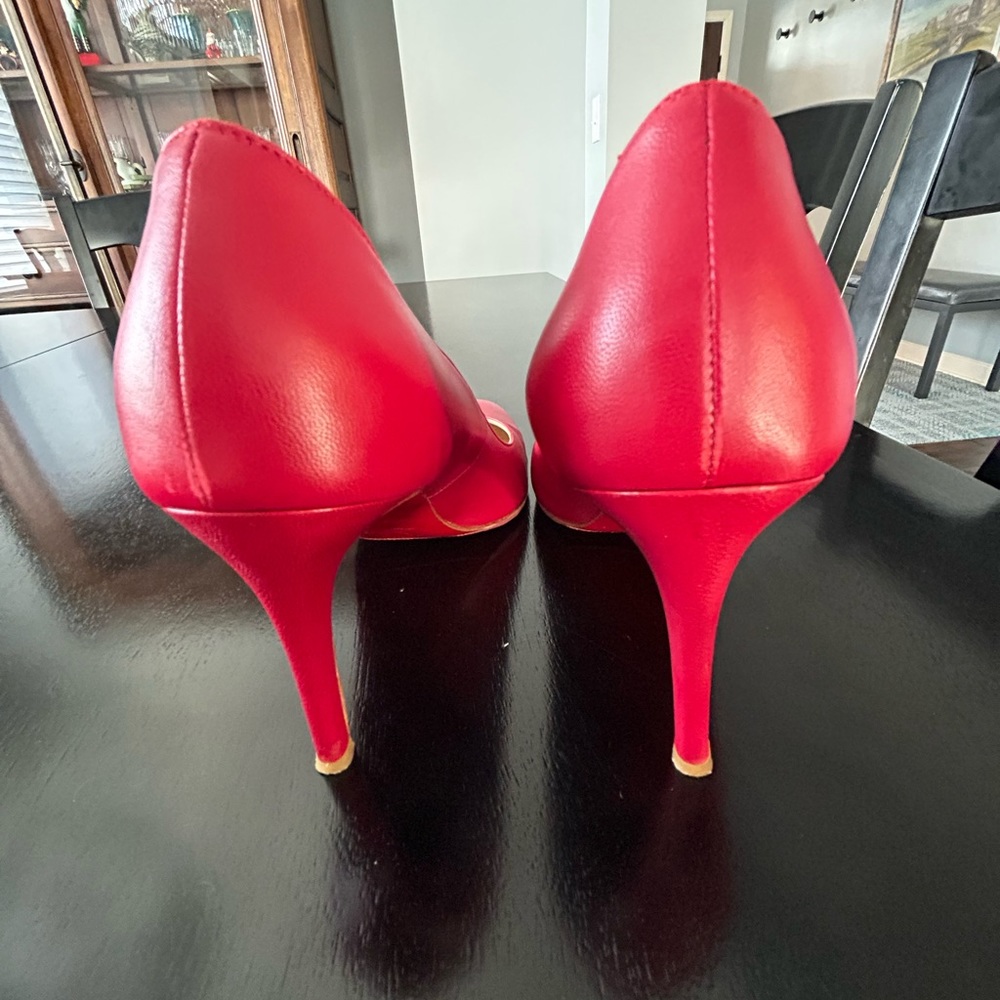 Christian Louboutin Simple Pinky Red Pumps - image 4